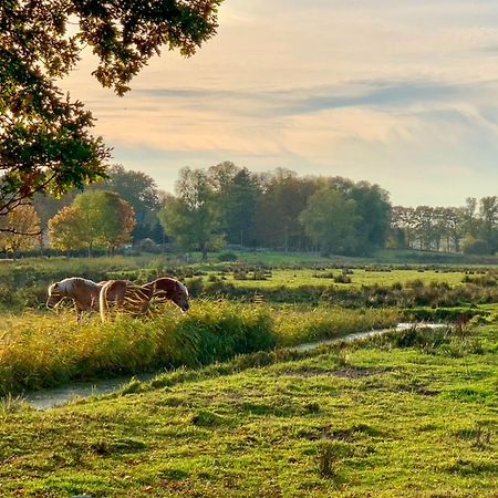 Ferienwohnungen Klein Kapelle Gingst Екстер'єр фото