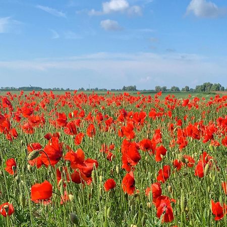 Ferienwohnungen Klein Kapelle Gingst Екстер'єр фото