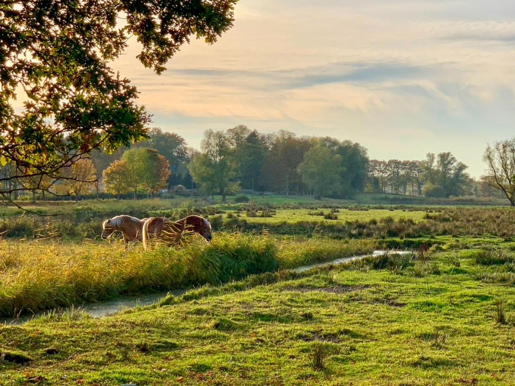 Ferienwohnungen Klein Kapelle Gingst Екстер'єр фото